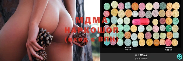 гидра Корсаков