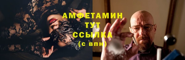 гидра Корсаков