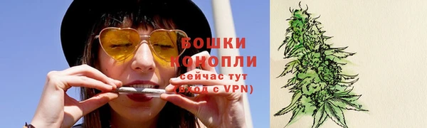 гидра Корсаков