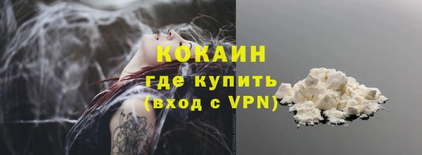 гидра Корсаков
